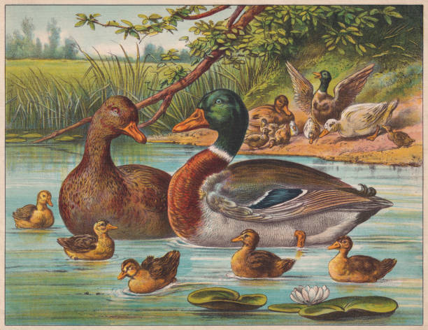 5 Exciting Ways to Participate in an International Art&nbsp;Contest